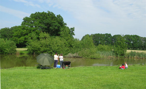 Blacklands Farm, Brighton