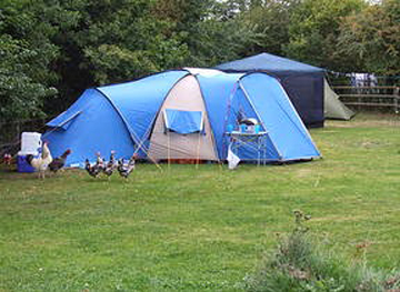 Colliters Brook Farm, Bristol