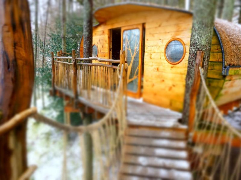 Living Room Tree House Experience, Powys, Wales