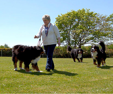 Llys Derwen Caravan and Camping, Snowdonia, North Wales