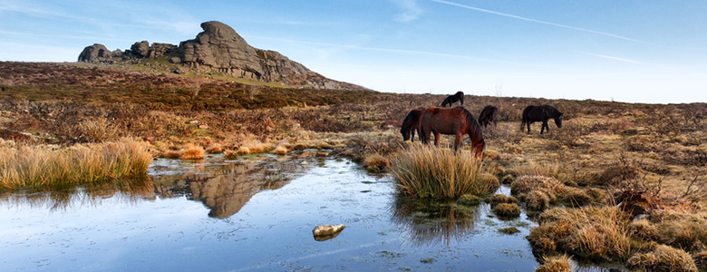 Camping in the UK National Parks