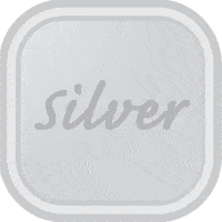 Chatter Silver Badges